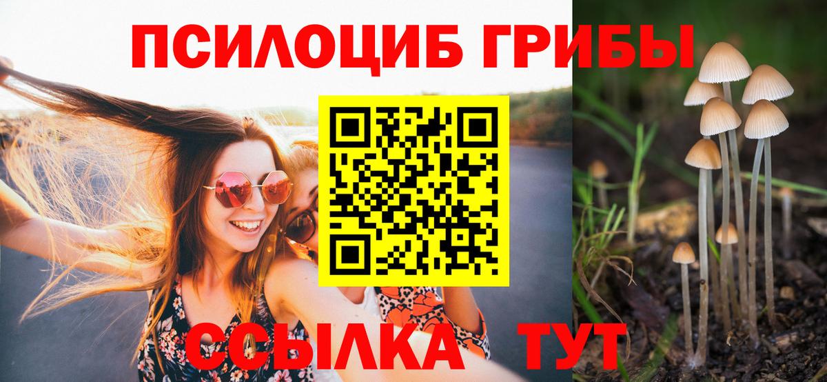 Галлюциногенные грибы Psilocybine cubensis  купить   Галлюциногенные грибы мицелий  Всеволожск  Вход с VPN 