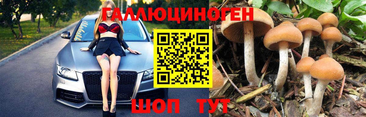 Галлюциногенные грибы GOLDEN TEACHER Всеволожск